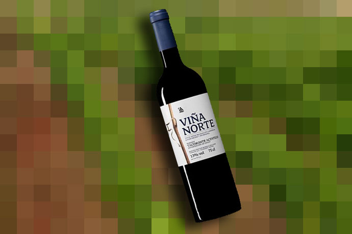 Viña Norte Maceración Carbonica best Spanish young wine