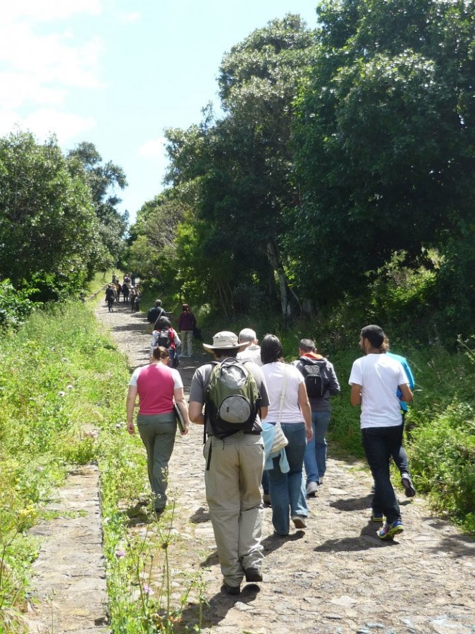 Historical guided walks in Tegueste – Tenerife – during June and July