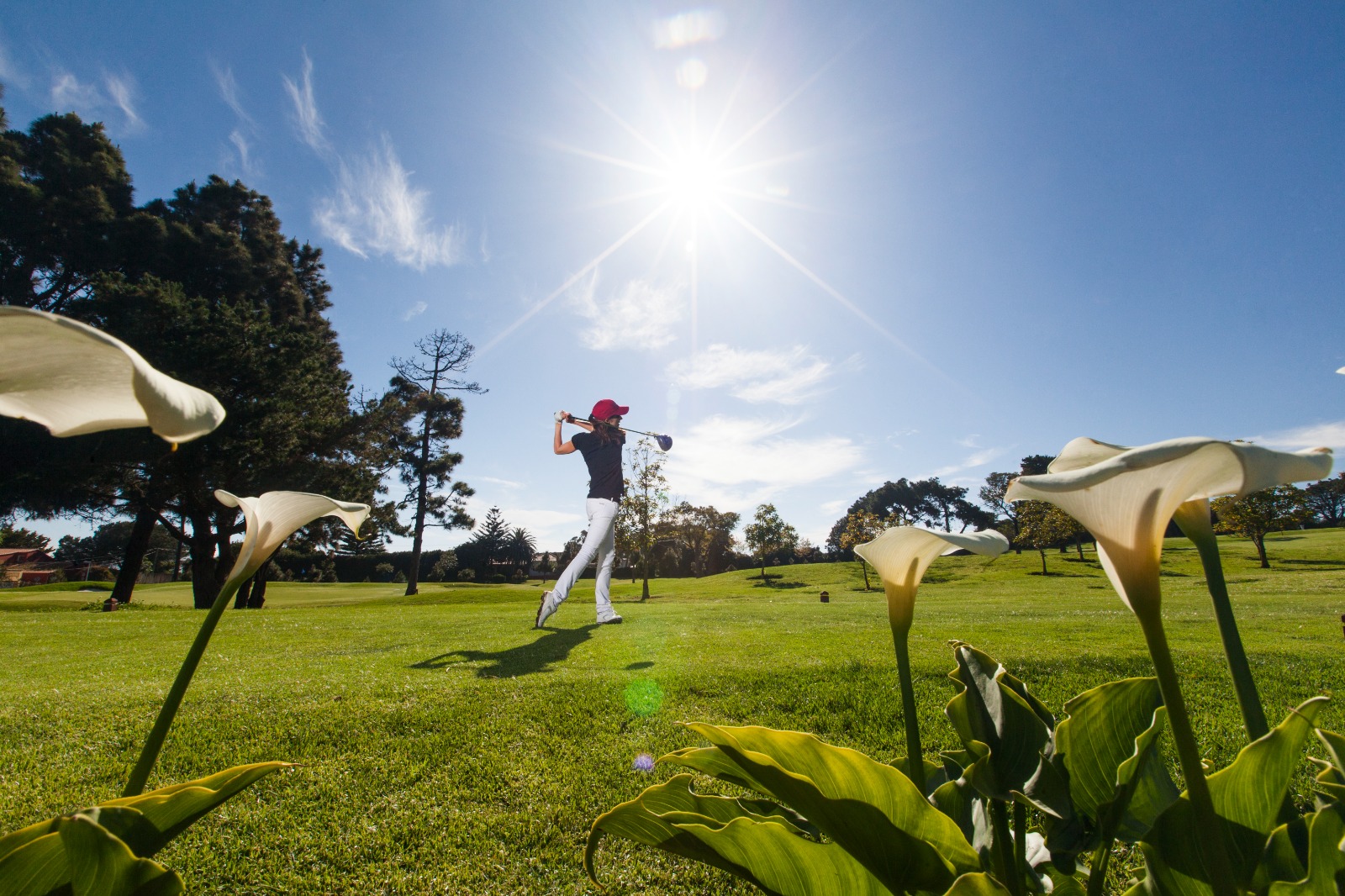 Real Club de Golf Tacoronte