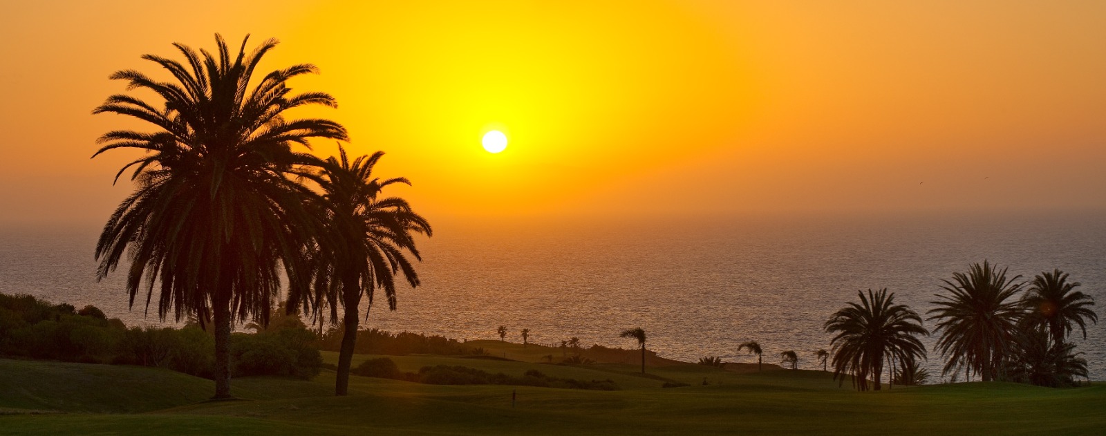 Buenavista Golf Hotel Meliá Hacienda del Conde