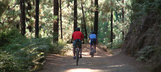 Bicicleta de montaña