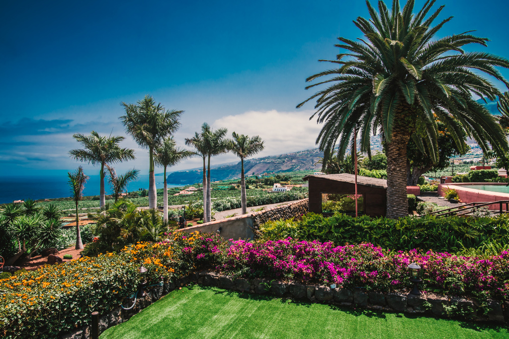 Garden with palm trees and flowers facing the sea in Tenerife.