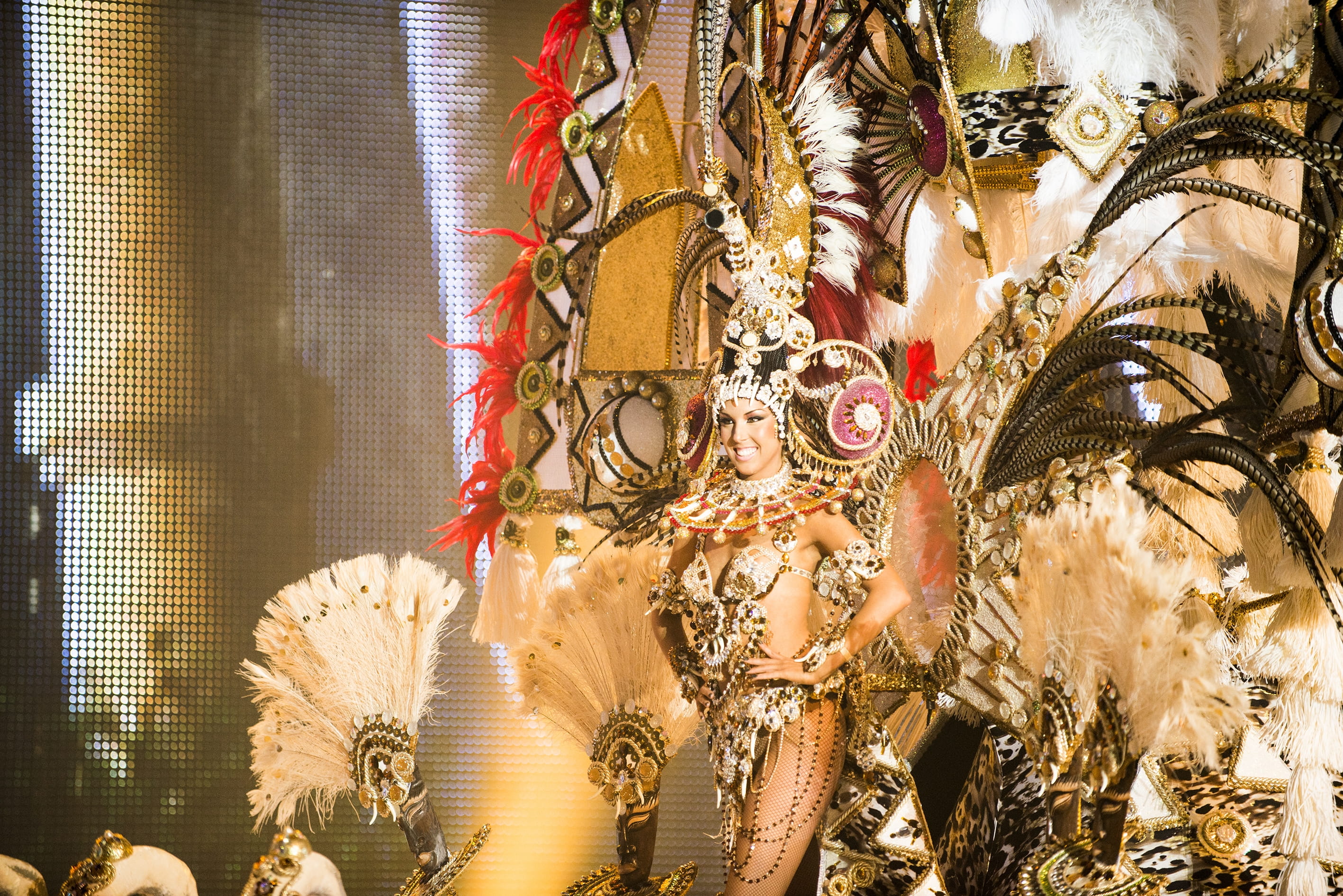 Fiesta Canaria Carnaval