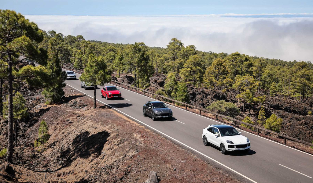 Cars driving on a tree-lined road in Tenerife.