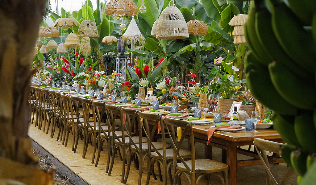 Long table decorated with flowers and fruits in a banana setting in Tenerife.