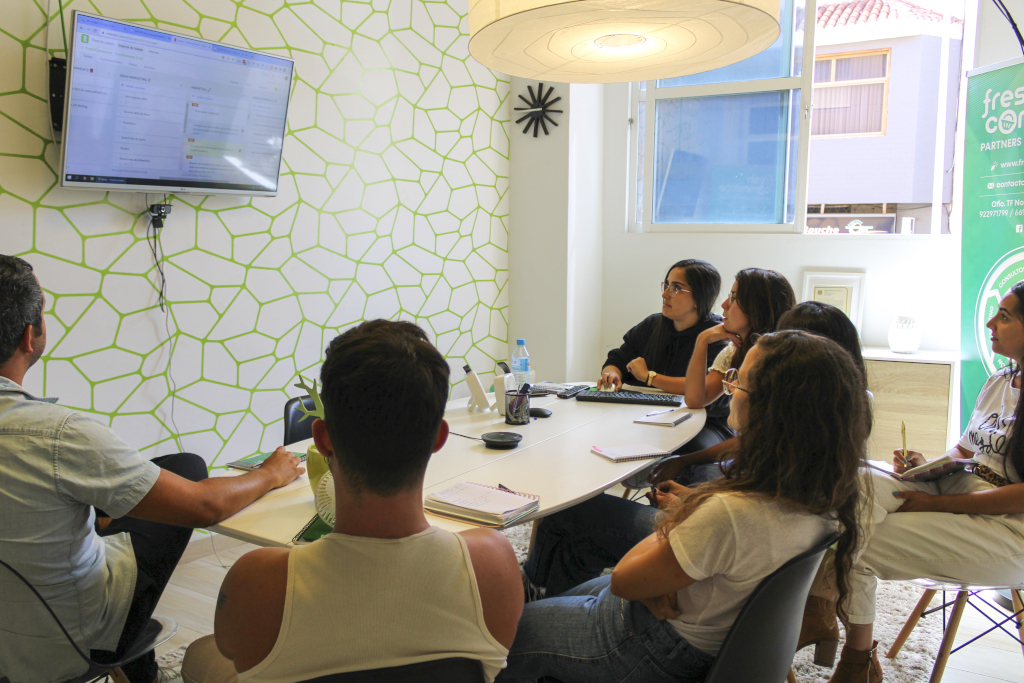 Group in a meeting room in Olé, Tenerife watching a presentation.