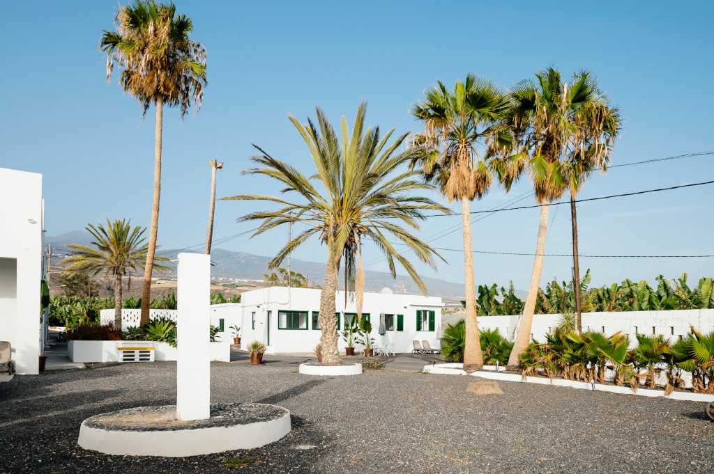 Palm trees and buildings in a sunny landscape in Tenerife.