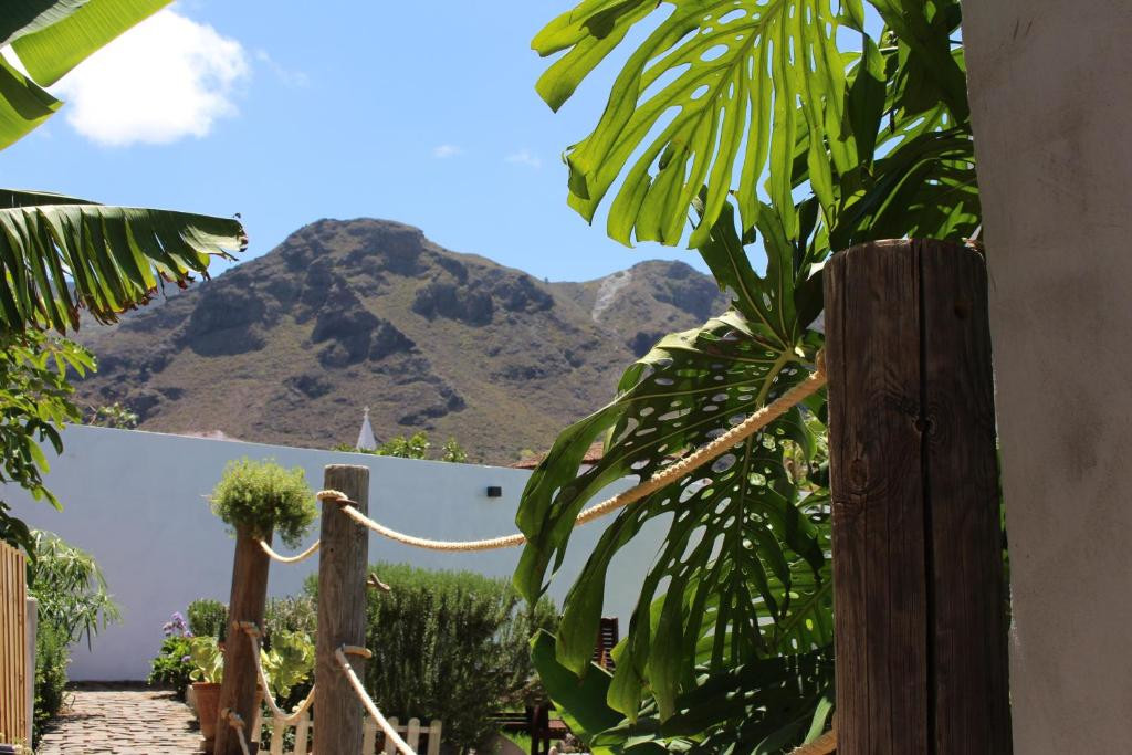 Tropical plants and mountain views in Tenerife.