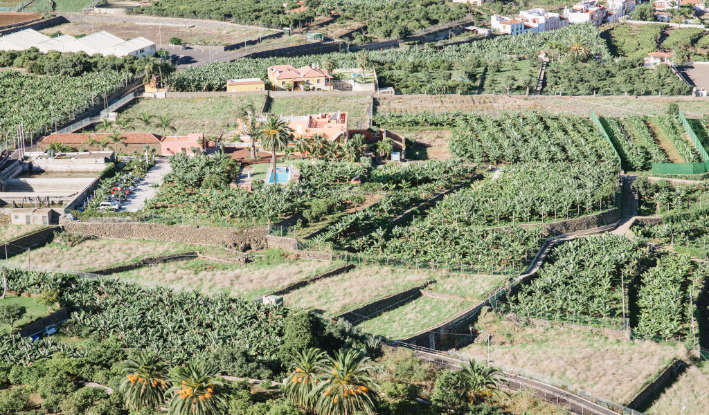 Aerial view of banana plantations and houses in Puerto de la Cruz, Tenerife.