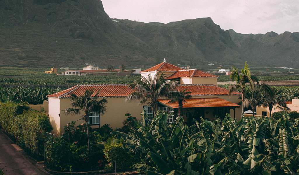 House surrounded by banana plantations with mountains in Tenerife.