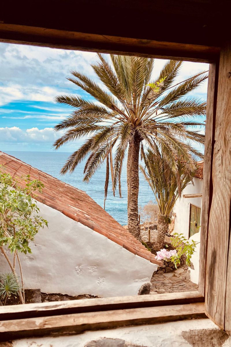 View of palm trees by rustic houses and ocean in Tenerife.
