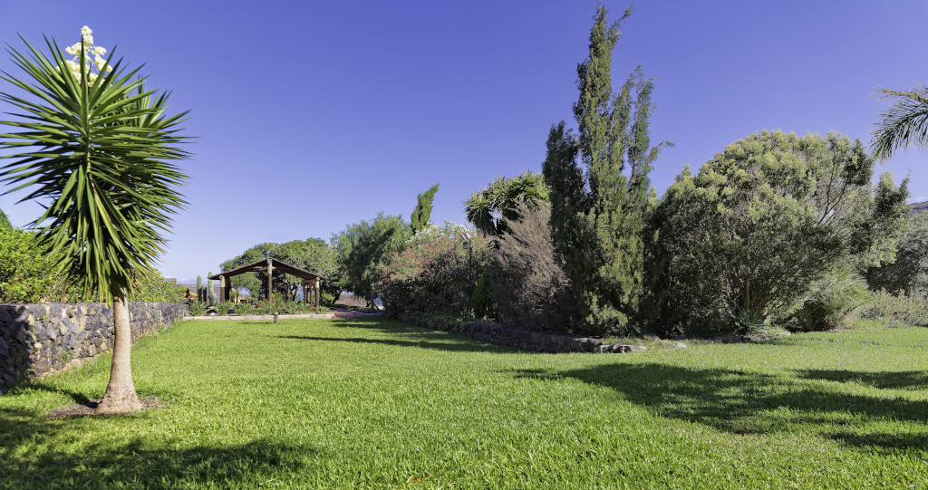 Garden with trees and wooden pergola in Tenerife.