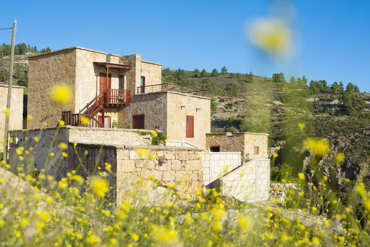Stone houses with wooden balconies surrounded by yellow wildflowers in Tenerife.