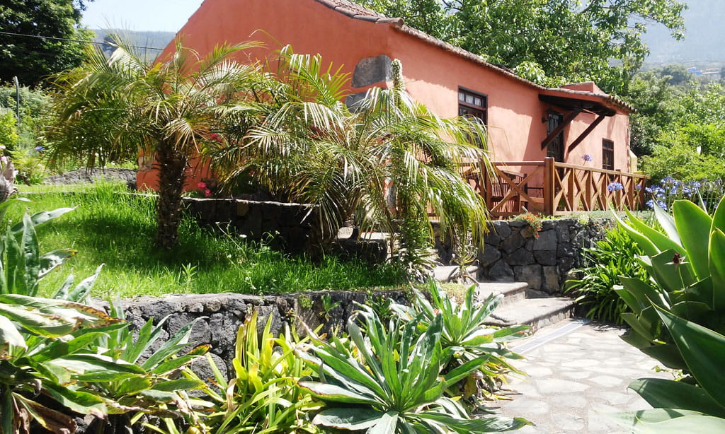 Orange house surrounded by palm trees and greenery in Tenerife.