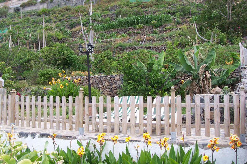 Terraced garden with plants and yellow flowers in Tenerife.