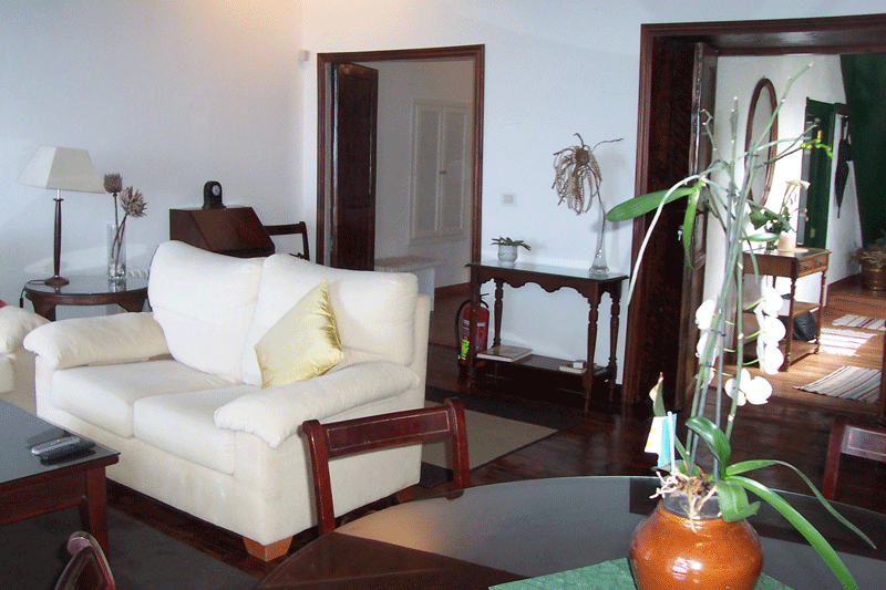 Living room with white sofa, green cushion, and plant in Tenerife house.