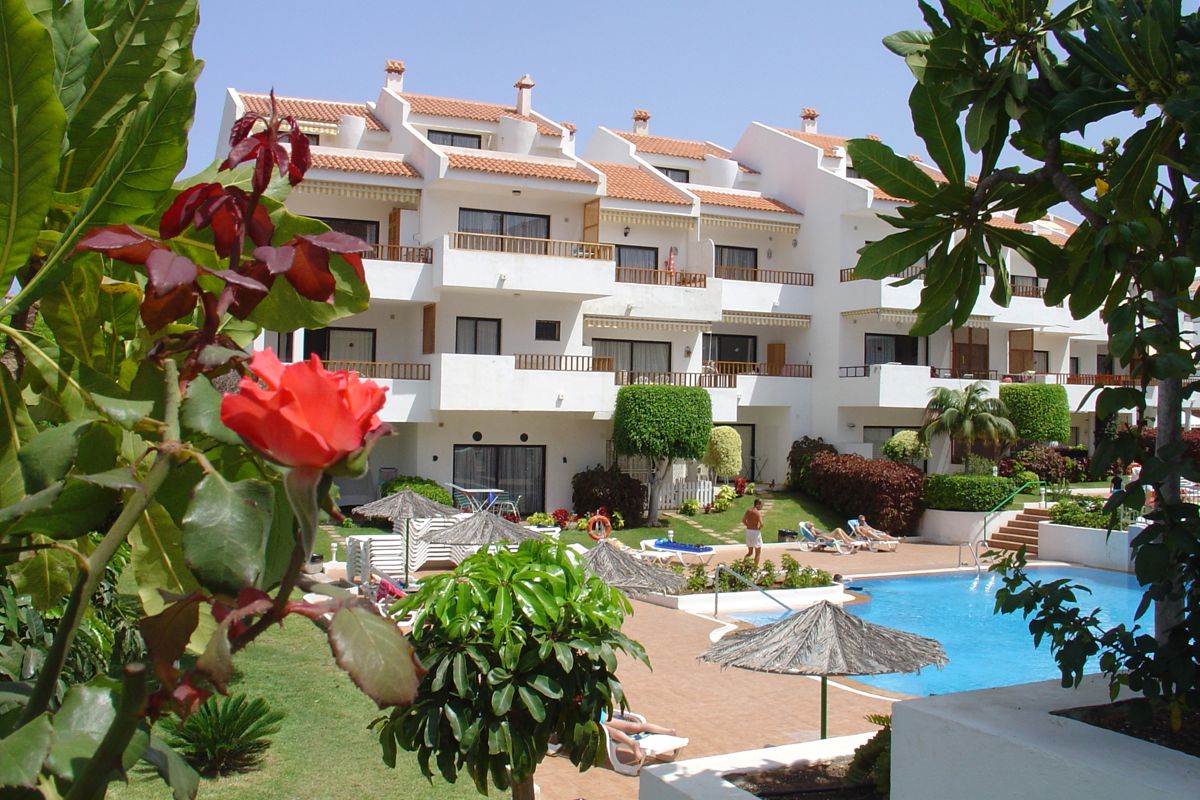 Pool area with sun chairs and a rose bush in front of a white apartment building in Tenerife.