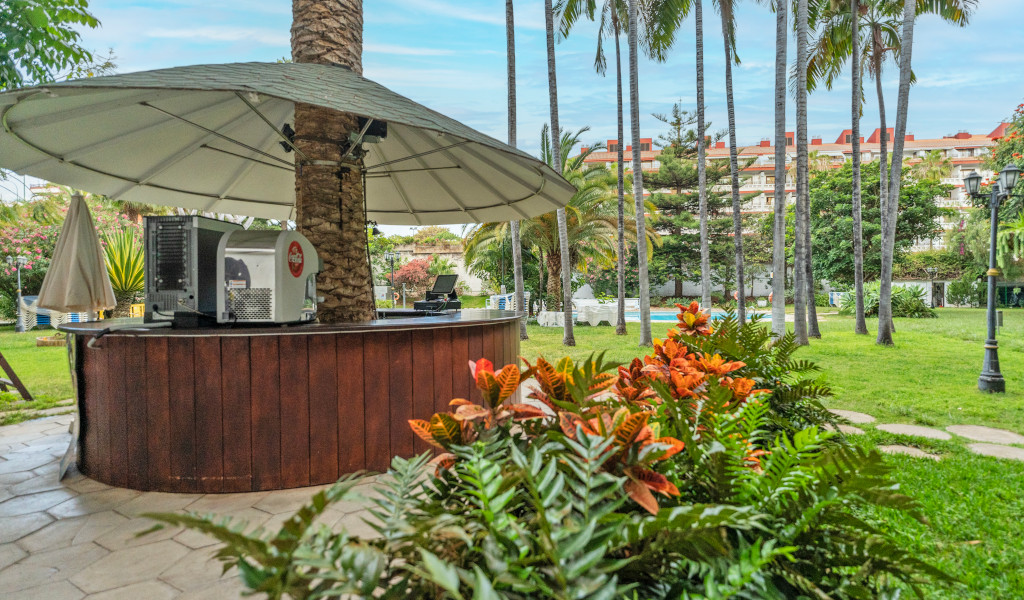 Outdoor bar surrounded by palm trees and vibrant plants in Tenerife garden setting.