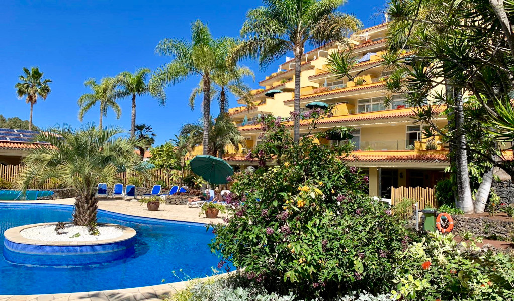 Tropical garden and pool at a hotel in Tenerife with palm trees and sun loungers.