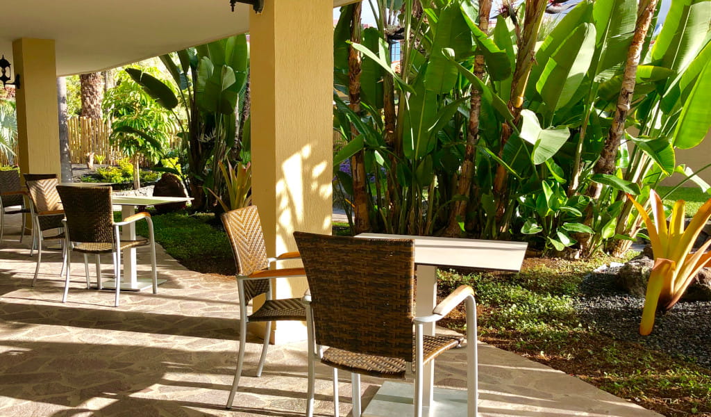 Outdoor seating area with tables and chairs surrounded by greenery in Tenerife.
