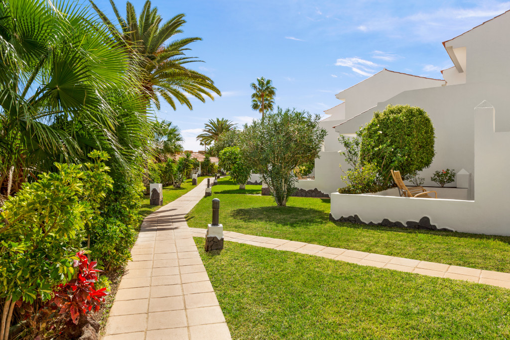 Pathway surrounded by greenery and white buildings in Tenerife.