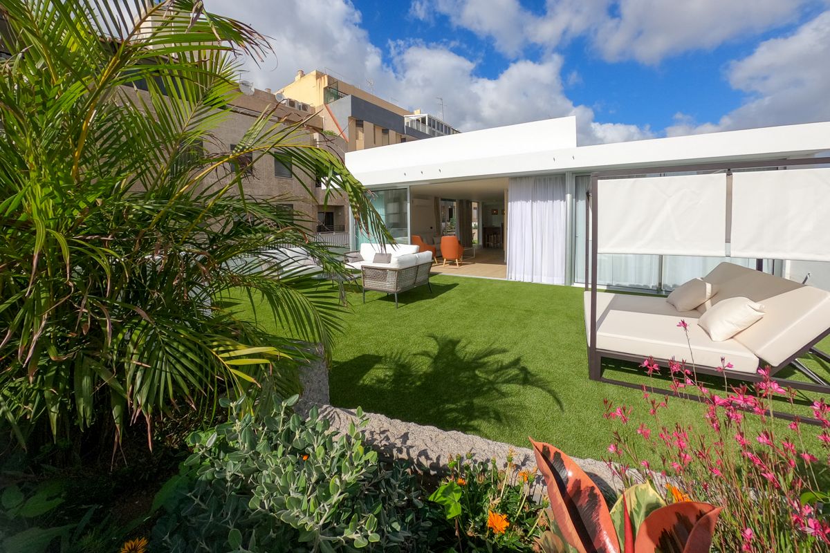 Rooftop terrace with plants and sun loungers in Tenerife.