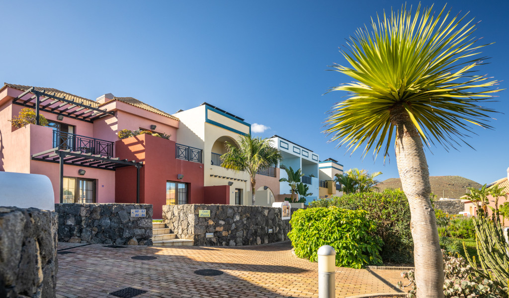 Colorful houses and a palm tree on a sunny street in Tenerife.