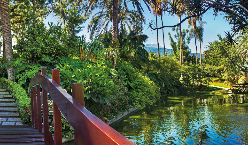 Wooden bridge over pond surrounded by lush greenery in Puerto de la Cruz, Tenerife.