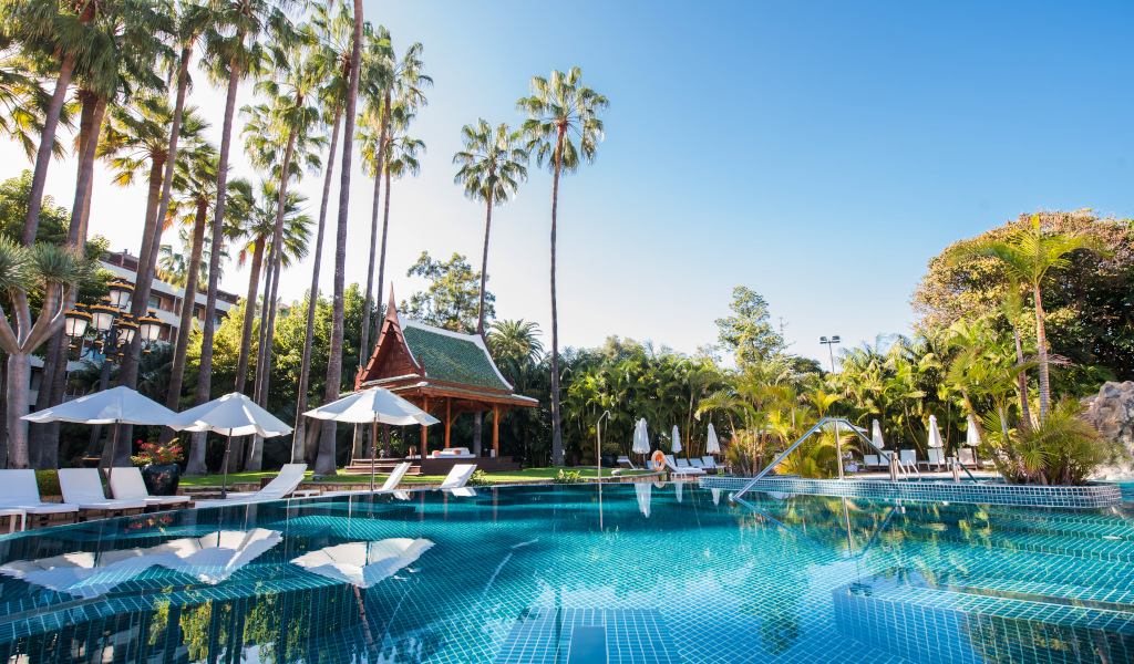 Pool area with palm trees and loungers at a resort in Tenerife.