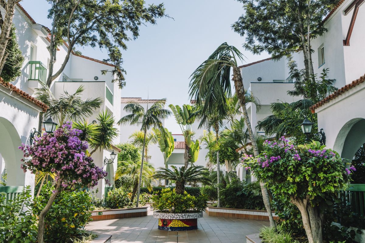 Courtyard with palm trees and flowers in a Tenerife residential area.