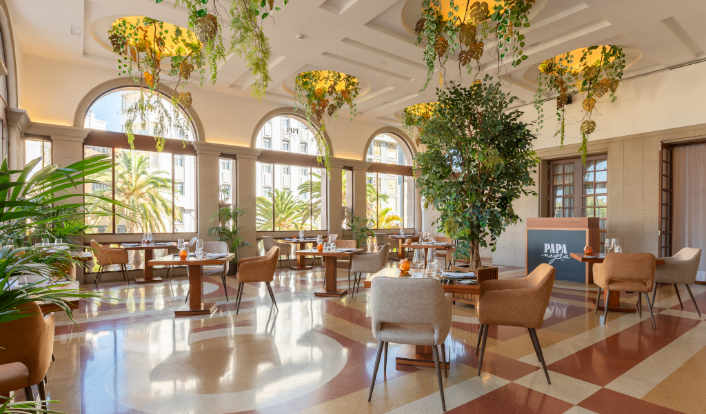 Restaurant dining area with tables, chairs, and a large tree in Santa Cruz de Tenerife.