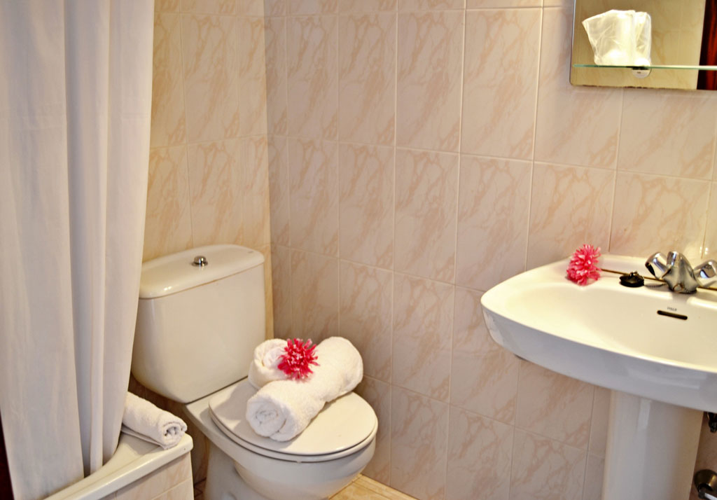 Bathroom with toilet, sink, rolled towels, and pink flowers in Tenerife.