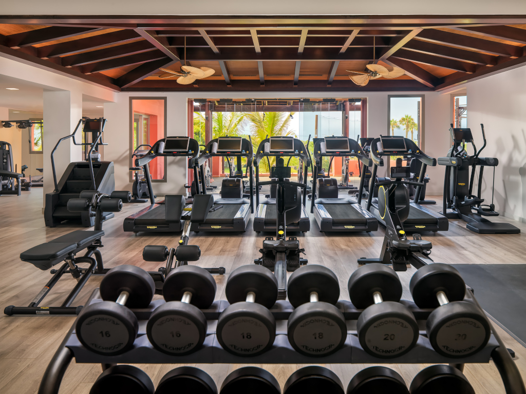 Gym with treadmills, weights, and exercise equipment in Tenerife.