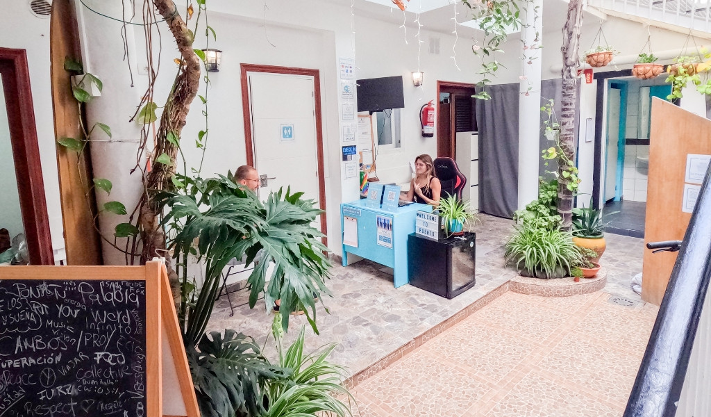 Reception area in a Tenerife hostel with plants and welcome sign.