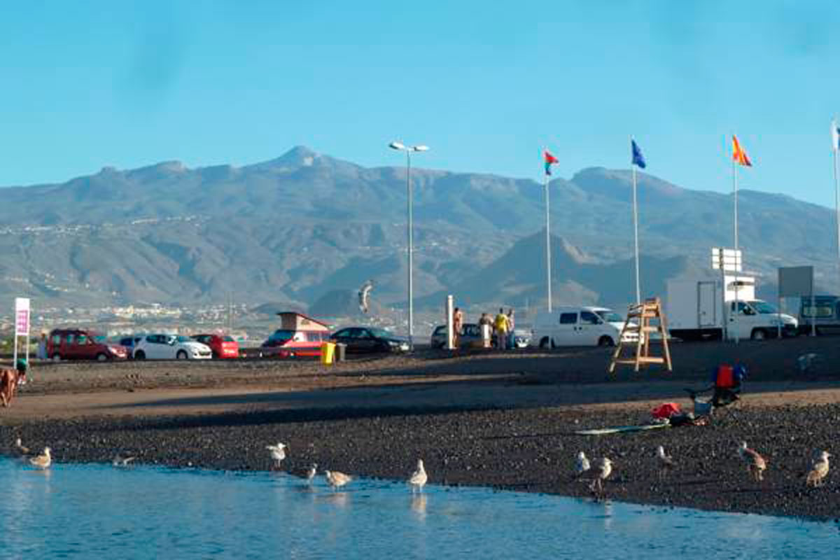 Beachfront with cars and seagulls at Las Galletas, Tenerife, against mountain backdrop.