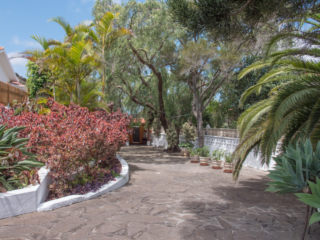 Garden pathway surrounded by diverse plants and trees in Tenerife.
