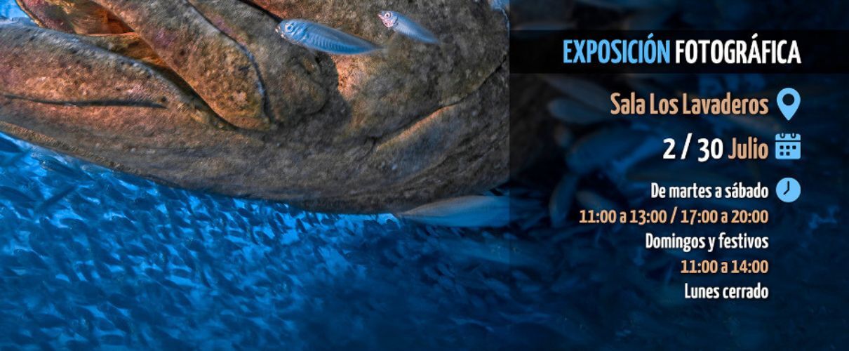 CIMASUB photographic exhibition