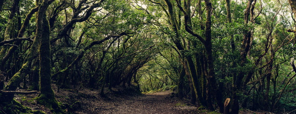 Espacios naturales protegidos