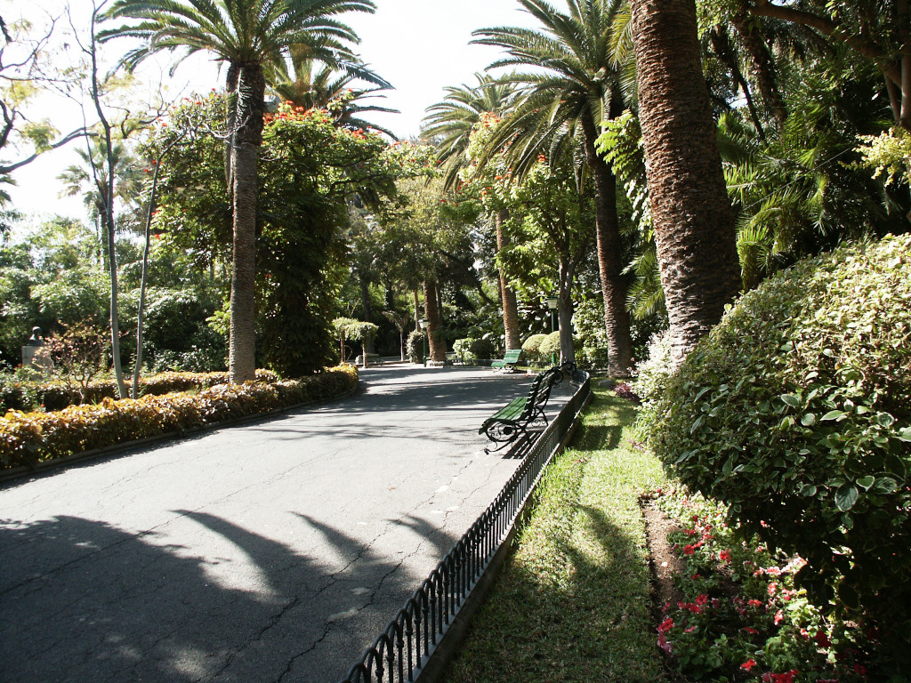 Santa Cruz Film Office