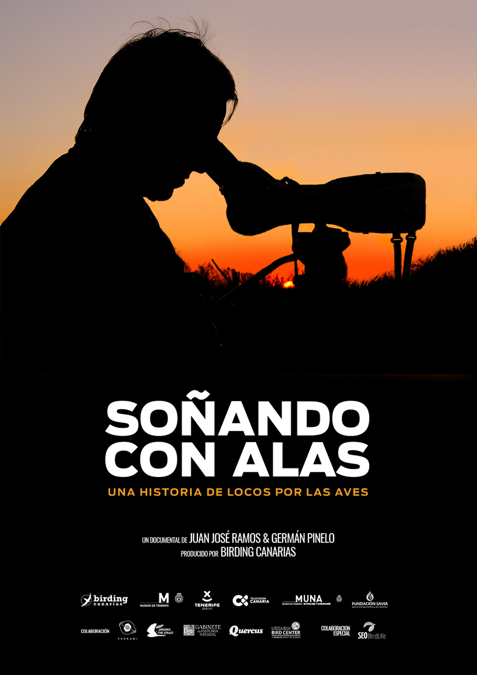 Silhouette of person observing with telescope at sunset. Text: Dreaming of Wings.