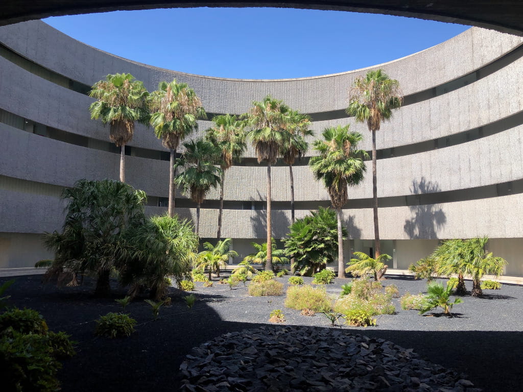 Patio with palm trees inside a building in Santa Cruz de Tenerife.