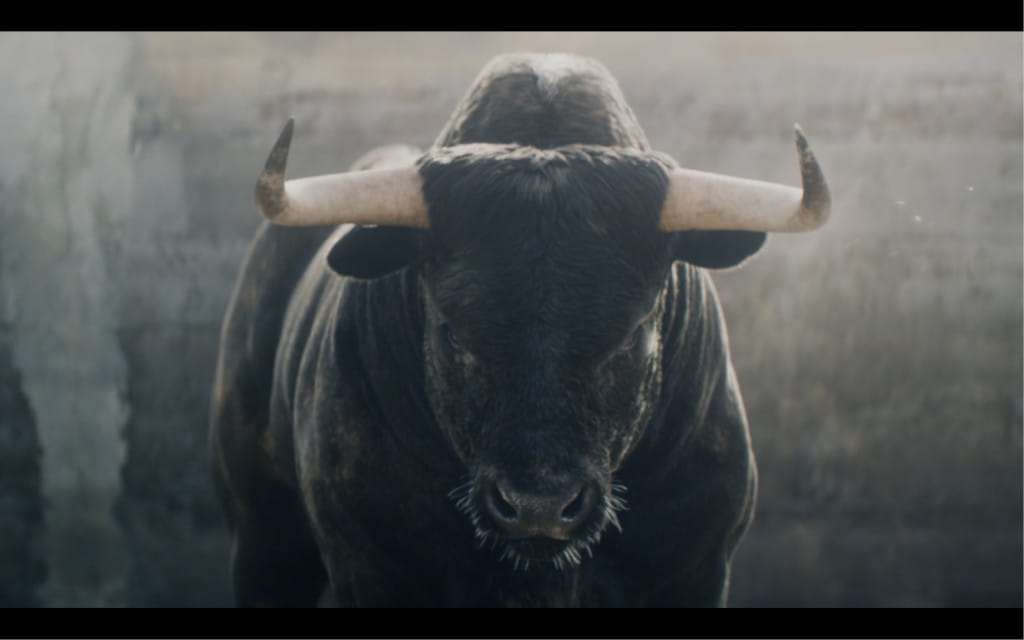 Bull in a venue in Tenerife.