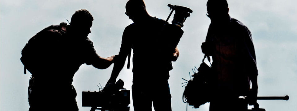 Fixer Canary Islands