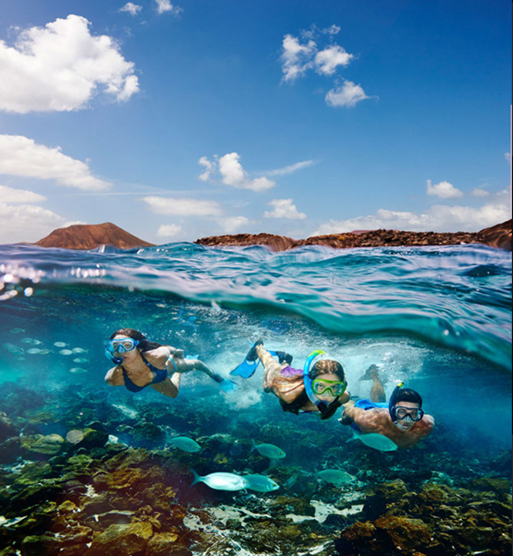 People snorkeling in the crystal clear waters of Tenerife under a blue sky.