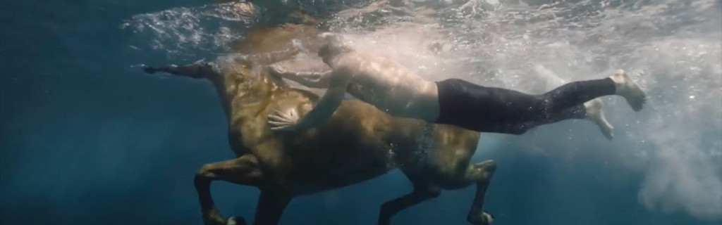 Person swimming underwater next to a horse in Tenerife.