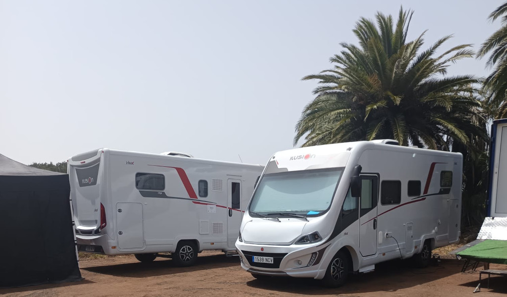 Motorhomes parked under palm trees in Tenerife.