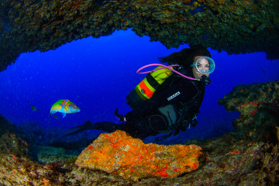 Diving Map