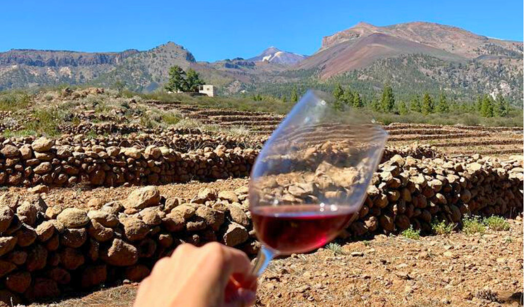 A wine glass held up with a view of Teide National Park, Tenerife in the background.