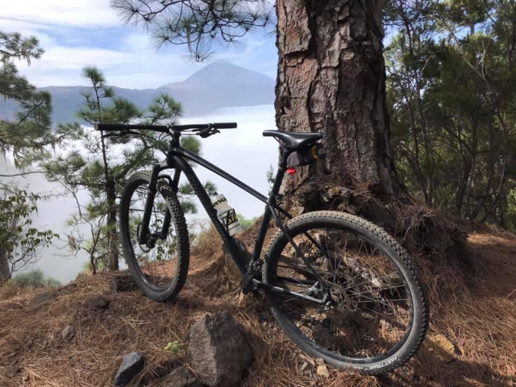 Mountain bike on a wooded path with Mount Teide in the background, Tenerife.