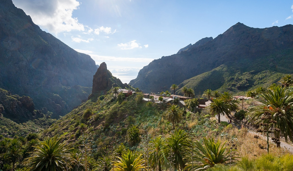 Valley and village in Masca, Tenerife, surrounded by mountains and vegetation.